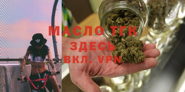 стаф Кущёвская
