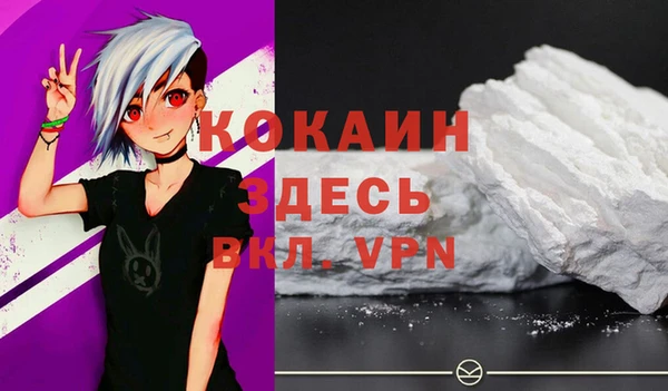 бошки Мегион