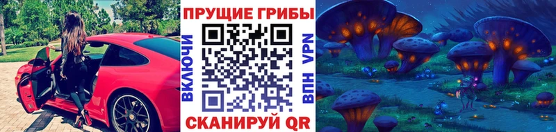 KRAKEN сайт  где найти   Новое Девяткино  Псилоцибиновые грибы Psilocybine cubensis 