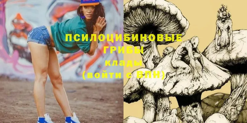 Галлюциногенные грибы GOLDEN TEACHER  купить наркоту  omg зеркало  Новое Девяткино 