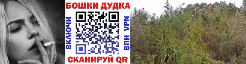 mega ссылки Новое Девяткино Каннабис Amnesia